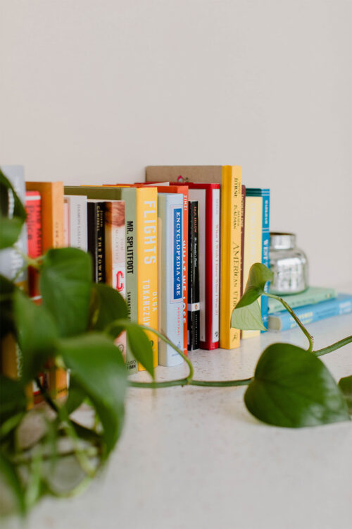 Line of Books with Greenery